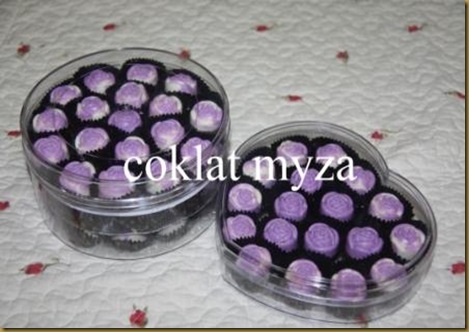 Coklat 1.4.2011 017