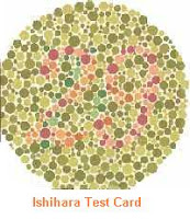 Test Buta Warna (Ishihara Test) Saat Sembuat SIM