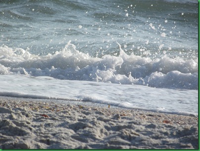 Beaches near Koreshan 026