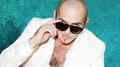 Great looks Pitbull