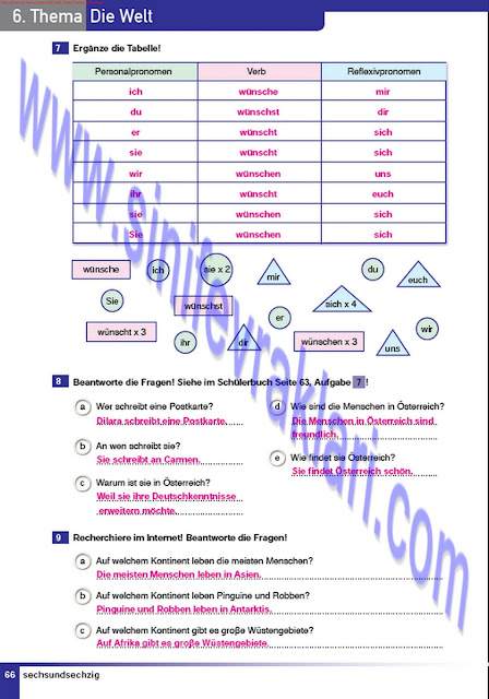 Almanca A1.2 Çıpa Yayınları Çalışma Kitabı Cevapları Sayfa 66