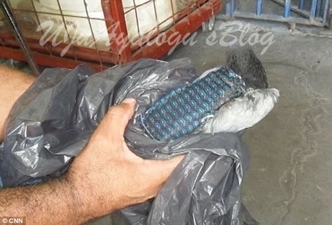 Guards at a Brazilian prison caught a pigeon with a mobile phone attached to its body