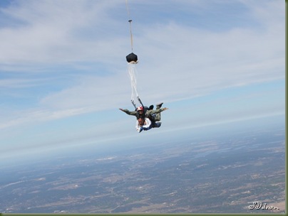 skydive 137