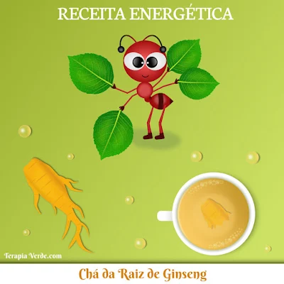 Receita Energética: Chá da Raiz de Ginseng