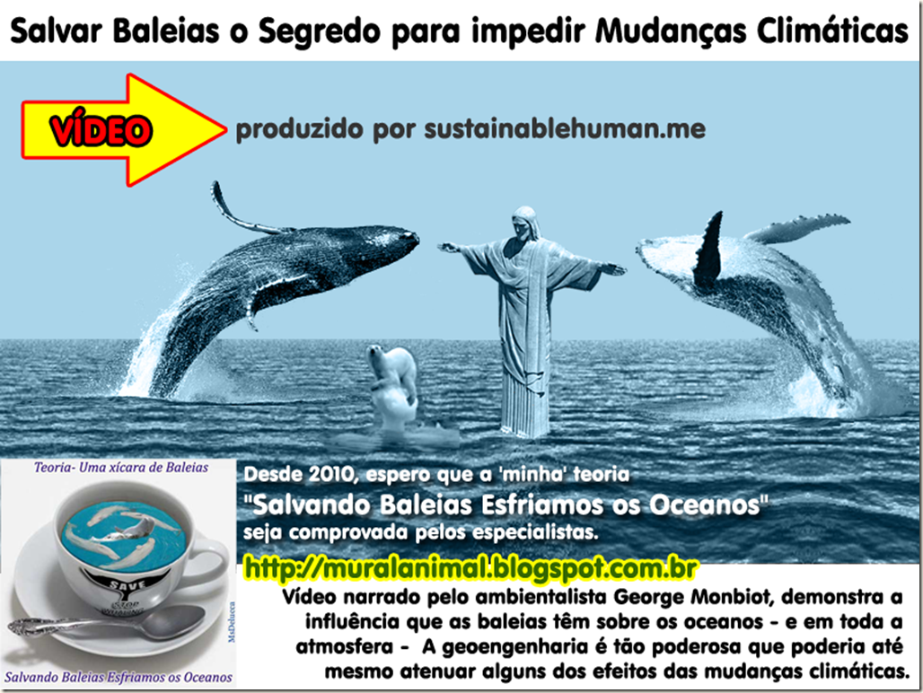 teoria_baleias
