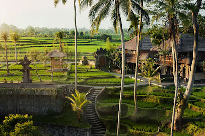 bali ubud tahun baru