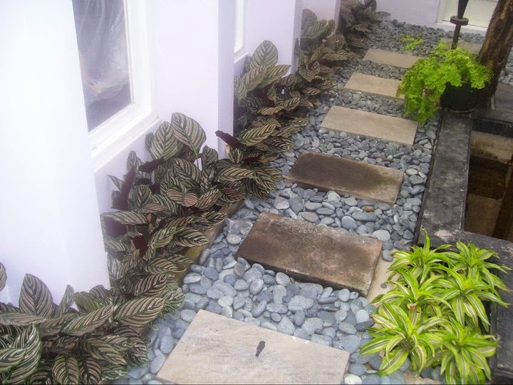 taman kering di dalam rumah