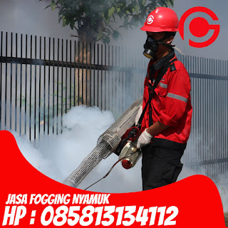 Call : 085813134112 Jasa Fogging Nyamuk di Bekasi Timur