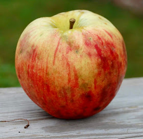 Round yellow apple with partial streaky orange blush.