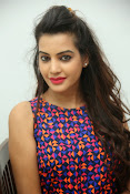 diksha panth sizzling photo shoot-thumbnail-26