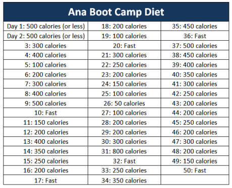 Ana Boot Camp Diet Review - The Ana ABC Diet