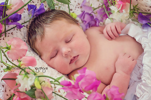 Newborn Portraits - Brampton, ON