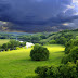 hd wallpaper sites