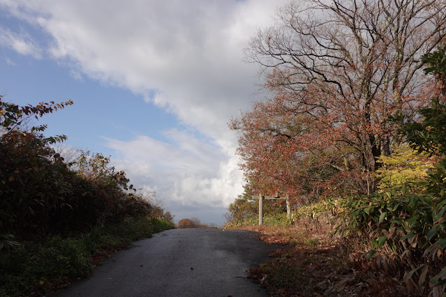 鳥取県西伯郡伯耆町金屋谷 袋小路