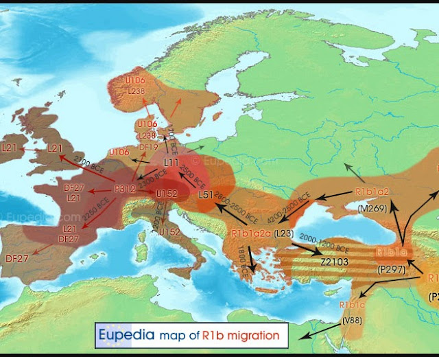 R1b Y-chromosome haplogroup