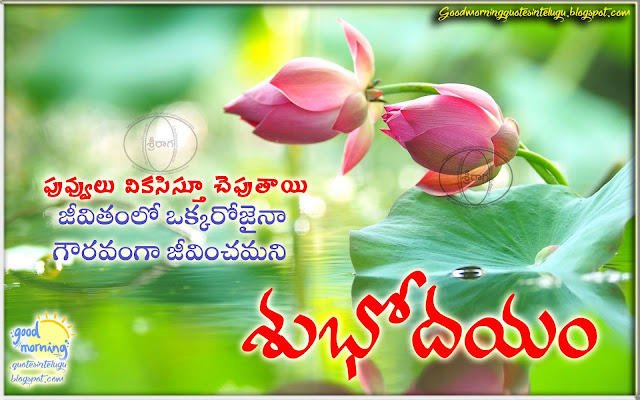 Excellent telugu Life Quotes with beautiful message