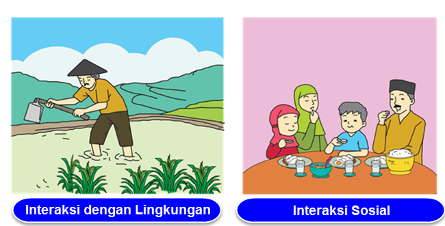 Interaksi Sosial Dan Interaksi Dengan Lingkungan 