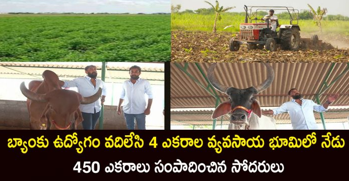 agricultural landagricultural service agreementcow dung fertilizerdairy farmingfarm fresh producefarming investmentfarming success storyHebbevu FarmsHebbevu FreshKishan Brothersmilk productionmilk supply Bangalorenative cowsNisarga Woodsonline grocery storeorganic farmingPenukonda Telanganasustainable farmingTelangana agriculturevegetable farming