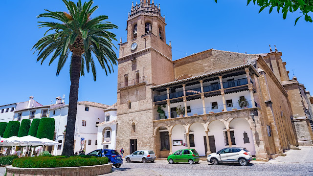 Gran iglesia en una plaza con una palmera y una gran torre campanario.