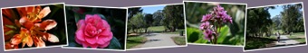 View Park 2