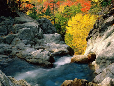 Beautiful Waterfall Seen On www.coolpicturegallery.net