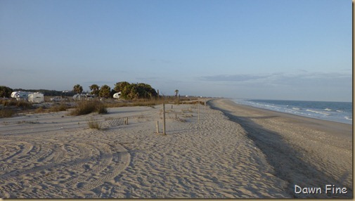 Edisto Beach State Park_055