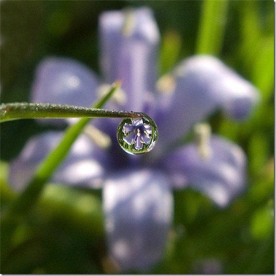 clip_image004