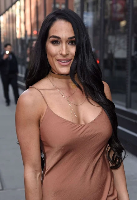 Nikki Bella sexy,Nikki Bella affair,Nikki Bella no panty,biodata of Nikki Bella ,Nikki Bella biography,Nikki Bella in bra,Nikki Bella kisses,Nikki Bella movie list,Nikki Bella new actress photos,