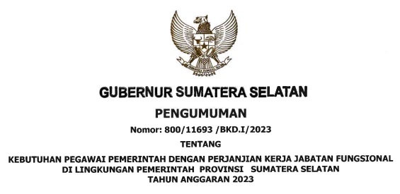 Rincian Formasi Kebutuhan ASN PPPK Provinsi Sumatera Selatan (SUMSEL) Tahun 2023