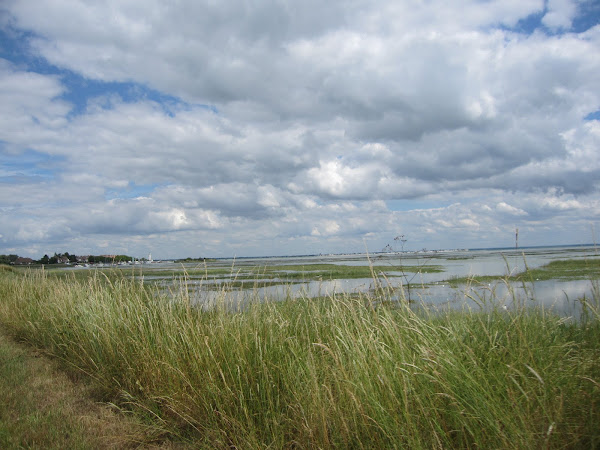 Enfin la mer de nouveau: Baie de Somme