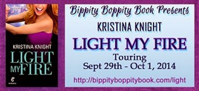 LightMyFireBannerSm