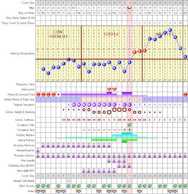 Bbt Charts Of Pregnant Women Examples. Getting pregnant is a full