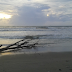 Berburu Rip Current Di Pantai Panjang Bengkulu [2]