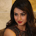Sonal Chauhan Looks Gorgeous At Telugu Film “Dictator” Success Meet In Hyderabad