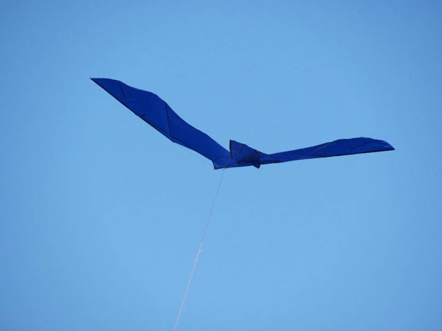 International Kite Festival 2011 - Ahmedabad, India