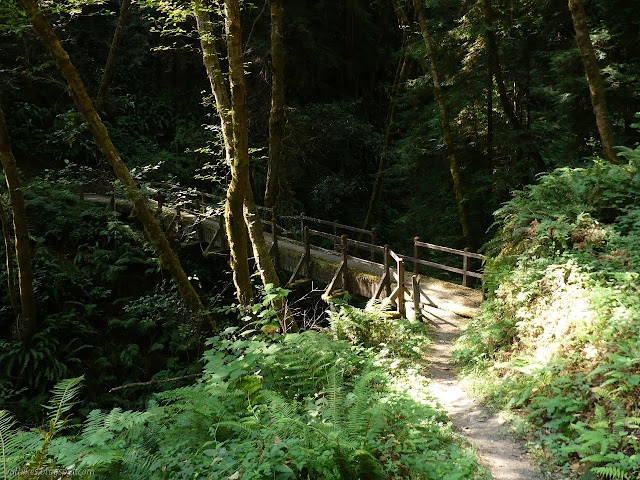 bridge over 44 Creek