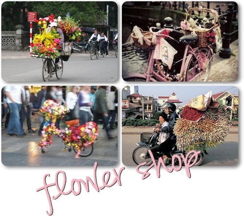 blommor cykel, blomstrandecykel, blomsterbutik som flytta, blomsteraffär som flyttar