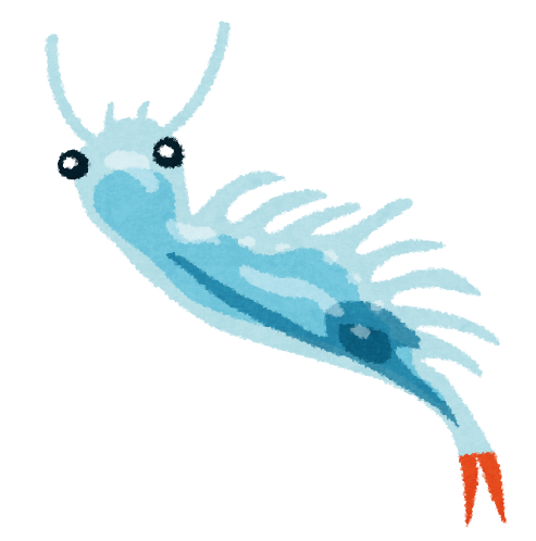 ホウネンエビ おばけエビのイラスト かわいいフリー素材集 いらすとや ホウネンエビ おばけエビのイラスト かわいいフリー素材集 いらすとや