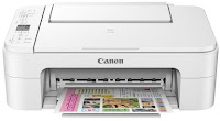 Canon TS3100 Drivers Setup