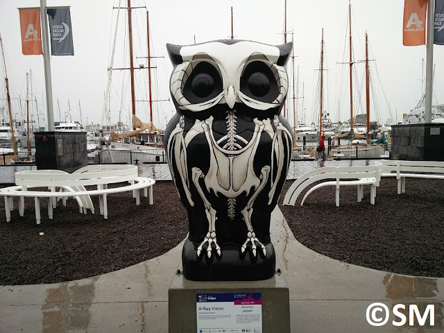 Photo de hibou The Big Hoot 2018 Auckland Nouvelle-Zélande