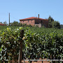  CASALE A MAGLIANO IN TOSCANA ZONA POGGIO LA MOZZA 