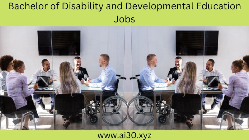 Bachelor of Disability and Developmental Education Jobs