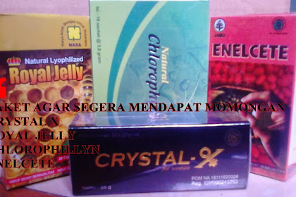 CRYSTAL X MEMBANTU PROSES KEHAMILAN