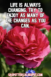 Life is always changing. Try to enjoy as many of the changes as you can.