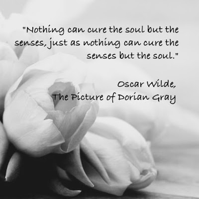 Nothing can cure the soul but the senses, just as nothing can cure the senses but the soul. - Oscar Wilde, The Picture of Dorian Gray