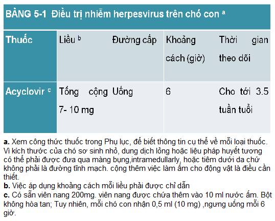 Thuốc điều trị Herpesvirus trên chó con