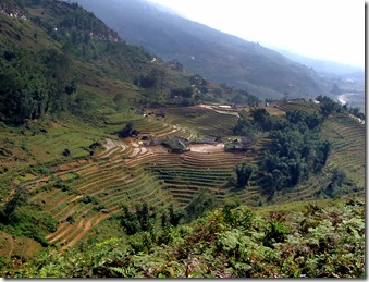 P1030770