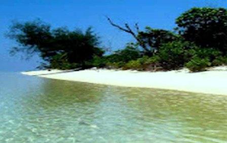 Pantai Cemara Indah pantai cemara indah aceh singkil pantai cemara indah perbaungan pantai cemara indah cilacap pantai cemara indah gosong telaga pantai cemara indah aceh pantai cemara indah yogyakarta pantai cemara indah pulau salak