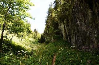 Vallon de Pratcel au bout du Pré de Pratcel