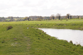 the wild Norfolk countryside circular walk